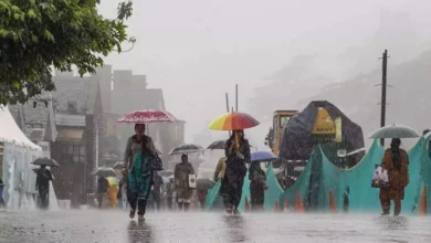 Rain Alert: पंजाब में भारी बारिश की चेतावनी, मौसम आगे भी ऐसा रहेगा। पढ़ें Latest अपडेट