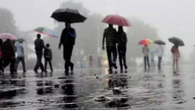 पंजाब के मौसम को लेकर अहम खबर,आज से इतने दिनों तक बारिश की चेतावनी