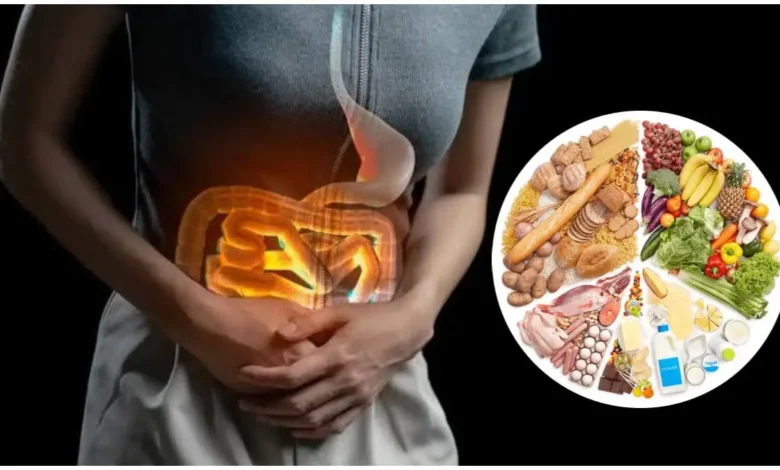 Diet Scheme for Gut Health: पाचन तंत्र को मजबूत करना बहुत सरल है! डाइट प्लान में 5 बदलाव करें