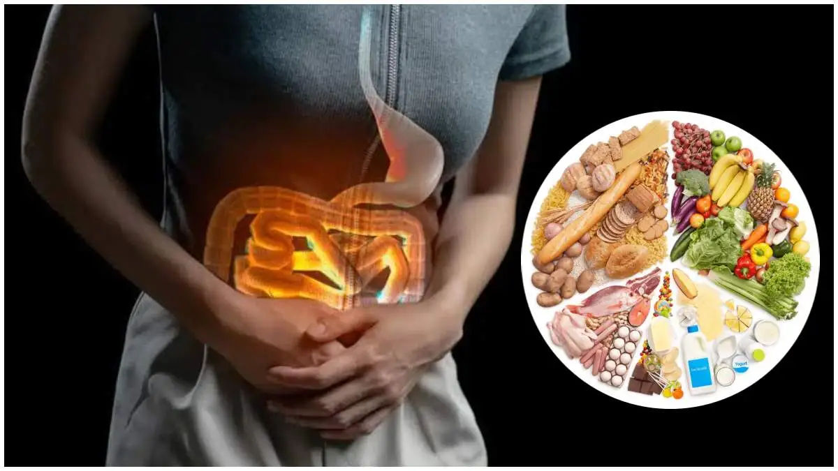 Diet Scheme for Gut Health: पाचन तंत्र को मजबूत करना बहुत सरल है! डाइट प्लान में 5 बदलाव करें