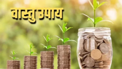 Vastu : आज कॉइन प्लांट घर लाएं, मां लक्ष्मी की कृपा से आपको लाभ मिलेगा!