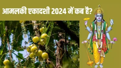 Amalaki Ekadashi 2024: आंवले के पेड़ और भगवान विष्णु का क्या संबंध है?