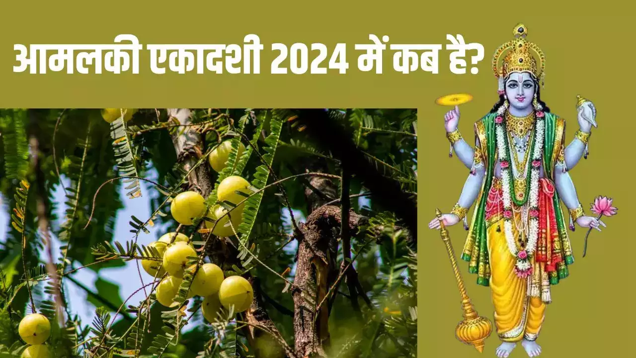 Amalaki Ekadashi 2024: आंवले के पेड़ और भगवान विष्णु का क्या संबंध है?