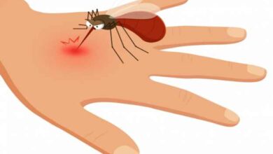 Symptoms of Malaria: कारण, पहचान, इलाज, पूरी जानकारी जाने