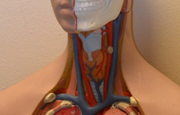 Achalasia cardia: लक्षण, कारण, निदान और उपचार पर जानकारी
