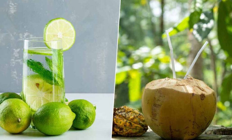 Coconut water vs Lemon Water: नारियल पानी पिएं या नींबू पानी, गर्मियों में क्या है ज्यादा फायदेमंद?