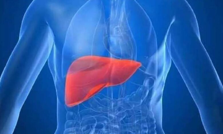 World Liver Day 2024: लिवर की ये बीमारियां चिंता बढ़ा रही हैं: एक्सपर्ट्स क्या कहते हैं?