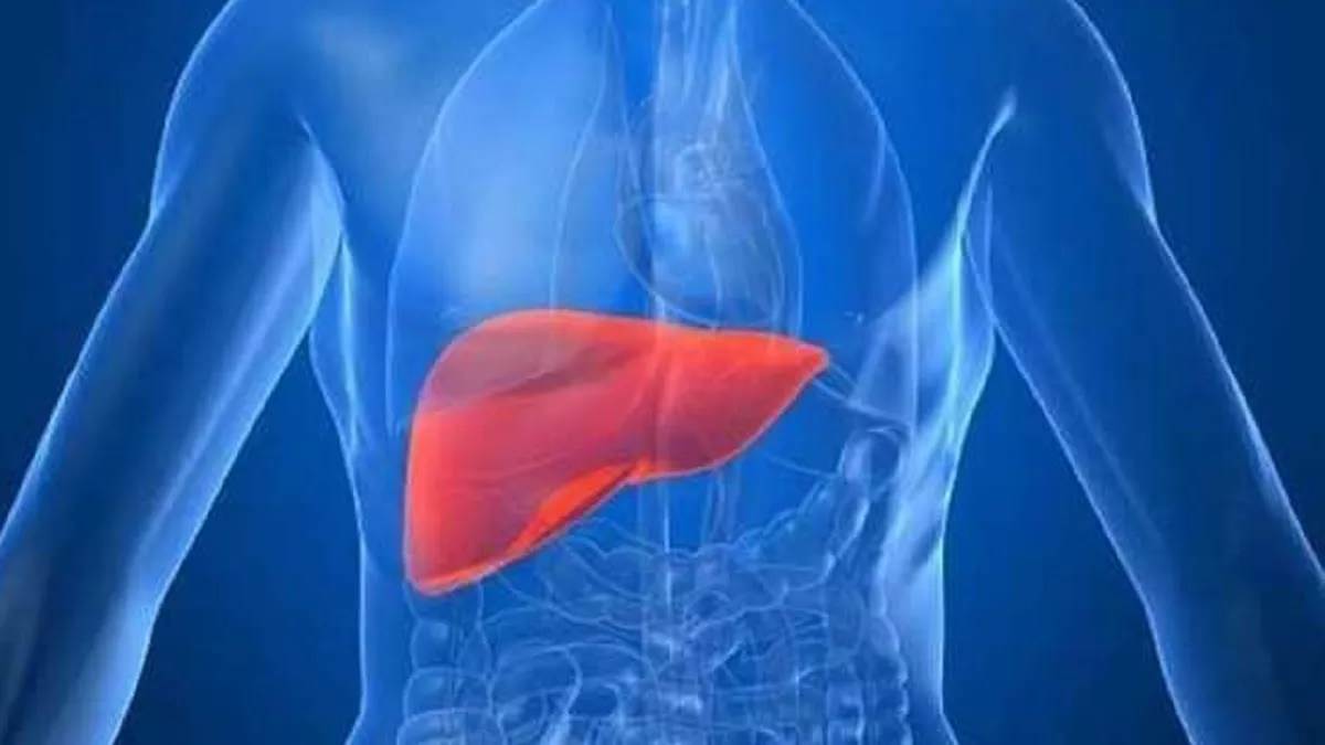 World Liver Day 2024: लिवर की ये बीमारियां चिंता बढ़ा रही हैं: एक्सपर्ट्स क्या कहते हैं?