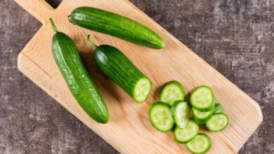 Benefits Of Cucumber: गर्मियों में खीरा खाने के शानदार फायदे हैं, कब्ज और मधुमेह को छुट्टी मिल सकती है