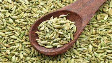 Side Effects of Fennel: गर्मियों में सौंफ का अधिक सेवन फायदेमंद ही नहीं नुकसानदायक भी हो सकता है, ये हैं साइड इफेक्ट्स