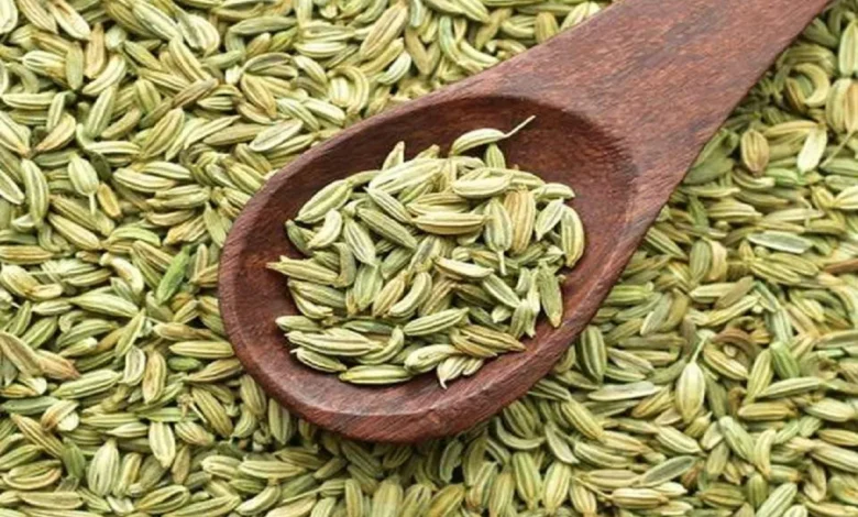 Side Effects of Fennel: गर्मियों में सौंफ का अधिक सेवन फायदेमंद ही नहीं नुकसानदायक भी हो सकता है, ये हैं साइड इफेक्ट्स