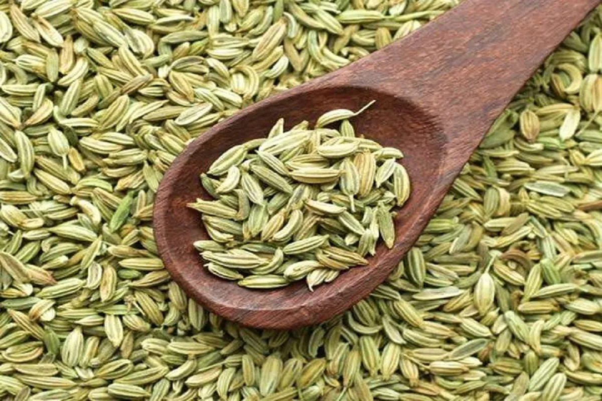 Side Effects of Fennel: गर्मियों में सौंफ का अधिक सेवन फायदेमंद ही नहीं नुकसानदायक भी हो सकता है, ये हैं साइड इफेक्ट्स