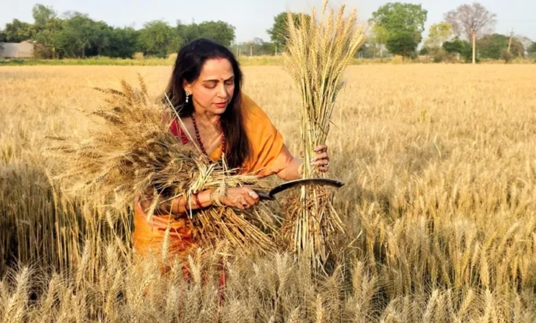 Dream Woman Hema Malini इस बार भी मथुरा से जीत सकेंगी, मुकेश धनगर दे पाएंगे टक्कर