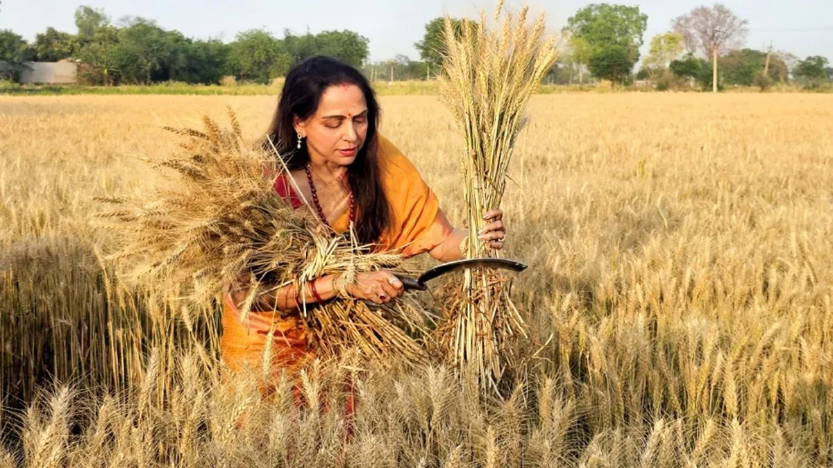 Dream Woman Hema Malini इस बार भी मथुरा से जीत सकेंगी, मुकेश धनगर दे पाएंगे टक्कर