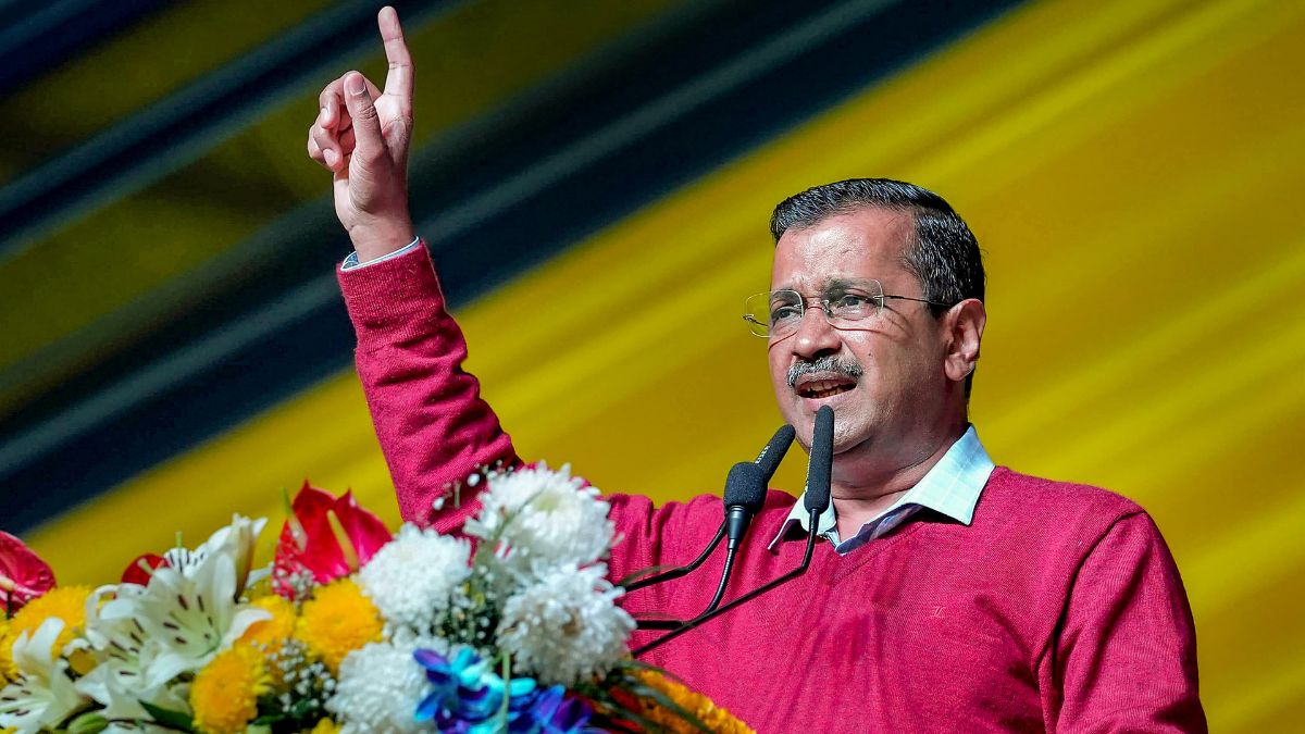 अरविंद केजरीवाल ने राउज एवेन्यू कोर्ट में अपील दायर की. याचिका पर ED ने क्या कहा?