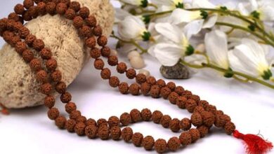 Rudraksh mala wearing rules:पवित्र माला को पहनने समय आपको इन नियमों का पालन करना चाहिए।