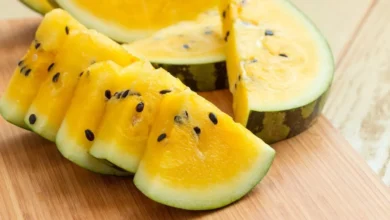 Yellow Watermelon: स्वाद और सेहत दोनों का खजाना, जानें कहां से आया