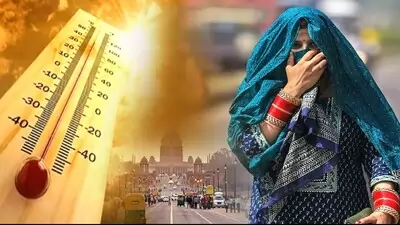 Heat broke many records in Punjab: लुधियाना में 47 डिग्री से अधिक का तापमान, कई जिलों में रेड अलर्ट जारी