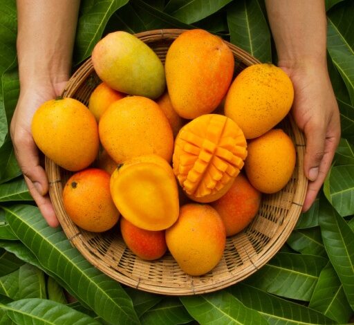 Food Should not eat With Mango: ये चीजें आम लोगों को खाने से बचें, ये सेहत के लिए अच्छे हैं लेकिन गंभीर नुकसान भी कर सकते हैं