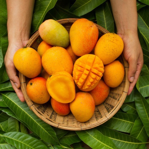 Food Should not eat With Mango: ये चीजें आम लोगों को खाने से बचें, ये सेहत के लिए अच्छे हैं लेकिन गंभीर नुकसान भी कर सकते हैं