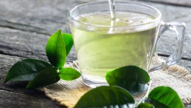 Green Tea for Weight loss:वजन घटाने के लिए रोजाना ग्रीन टी पीने से शरीर को कई फायदे होंगे।