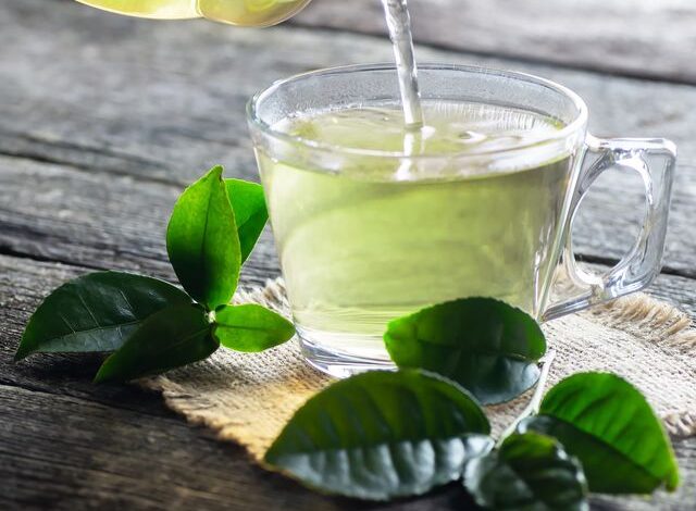 Green Tea for Weight loss:वजन घटाने के लिए रोजाना ग्रीन टी पीने से शरीर को कई फायदे होंगे।