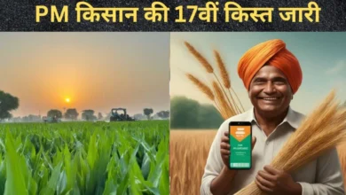 PM Kisan Samman Nidhi: PM किसान सम्मान निधि की 17वीं किस्त जारी: ऐसे देखें रिपोर्ट