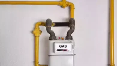 Piped Natural Gas (PNG): देश भर में पीएनजी की उपलब्धता बढ़ाने के लिए सरकार द्वारा उठाए गए कदम