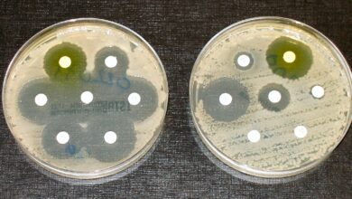 Antimicrobial resistance से निपटने और रोग निगरानी को बेहतर बनाने के लिए उठाए गए कदम