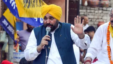 Punjab News: "शिअद पंथ के नाम पर वोट मांगती है, संसद में कभी पंजाब की बात नहीं की"; CM मान का अकाली दल पर गुस्सा