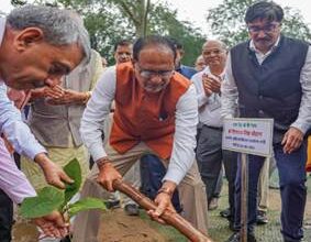 Shri Shivraj Singh Chouhan: कृषि एवं किसान कल्याण मंत्रालय लगभग 1 एकड़ भूमि पर “मातृ वन” स्थापित करेगा