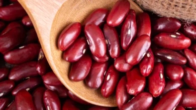 7 Benefits of Rajma: दिल्लीवासी इन सब्जी को बहुत पसंद करते हैं क्योंकि वे स्वादिष्ट और सेहतप्रद होती है।