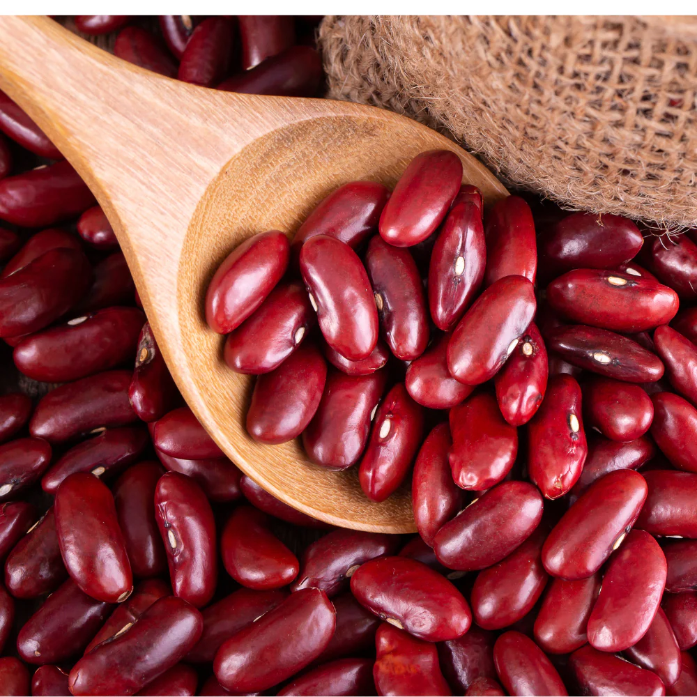 7 Benefits of Rajma: दिल्लीवासी इन सब्जी को बहुत पसंद करते हैं क्योंकि वे स्वादिष्ट और सेहतप्रद होती है।