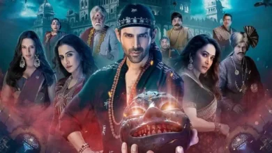 Bhool Bhulaiyaa 3 Box Office Collection:‘भूल भुलैया 3’ ने 175% मुनाफा वसूला, बॉक्स ऑफिस पर इतने करोड़ कमा डाले