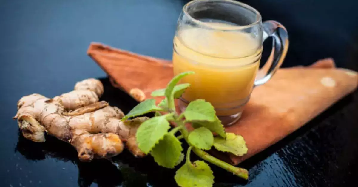 Ginger Juice Benefits: अदरक का जूस कोलेस्ट्रॉल को कम करने में प्रभावी है, जानिए कितनी मात्रा में और कब पीना चाहिए?