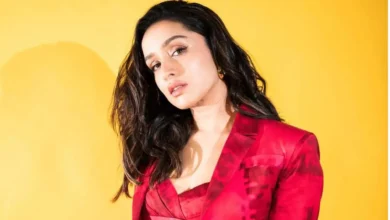 'पुष्पा-2' हाथ से निकली? अब Shraddha Kapoor इस सुपरहिट फिल्म के सीक्वल में मचाएंगी धूम