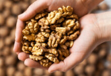  Soaked Walnut Benefits: सर्दियों में अखरोट खाने का सबसे अच्छा तरीका, सुबह दो बार भीगे अखरोट खाने से मिलेंगे जबरदस्त फायदे