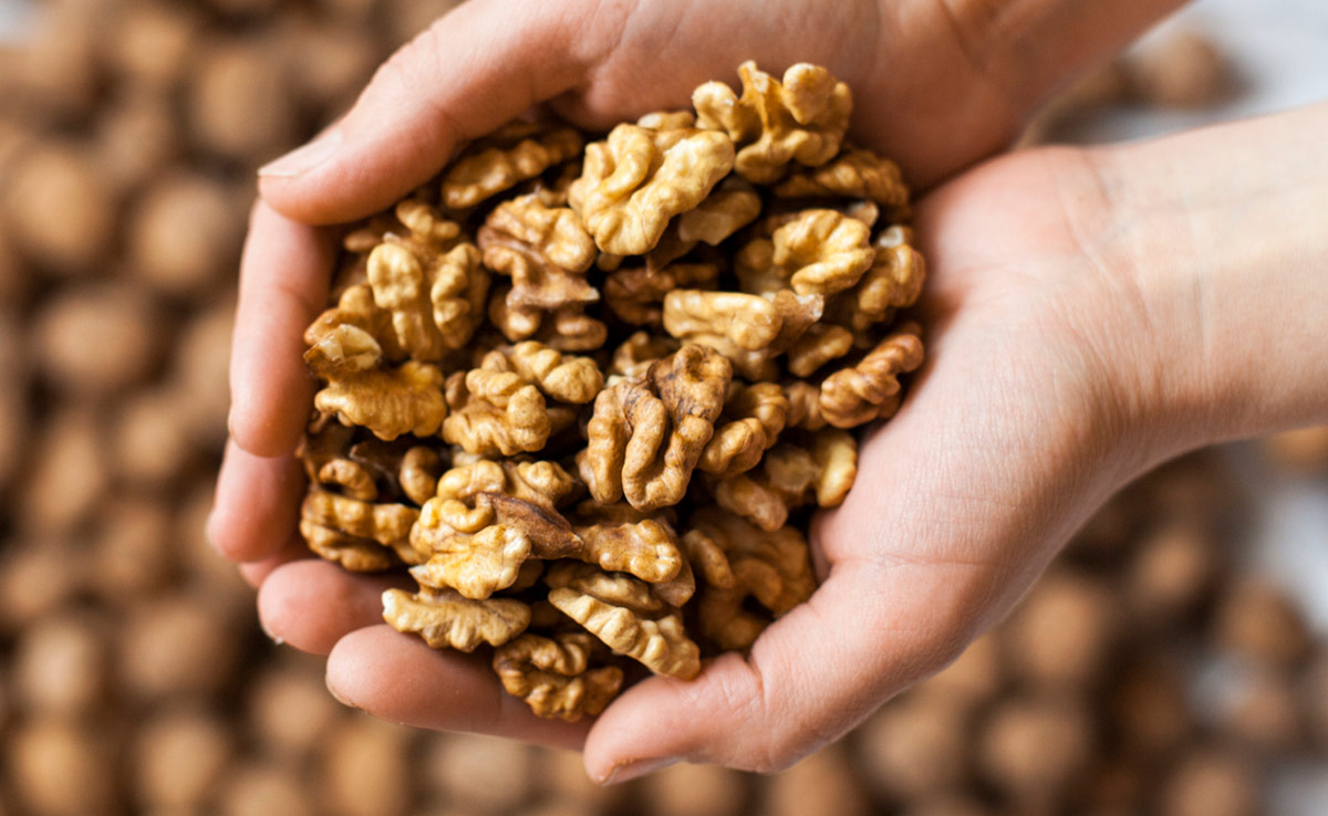  Soaked Walnut Benefits: सर्दियों में अखरोट खाने का सबसे अच्छा तरीका, सुबह दो बार भीगे अखरोट खाने से मिलेंगे जबरदस्त फायदे