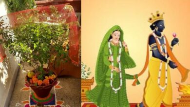 Tulsi Vivah 2024 में किस दिन मनाया जाएगा,आइए जानते है तिथि और शुभ मुहूर्त