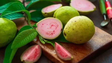 Guava In Empty Stomach: क्या सुबह खाली पेट अमरूद खाना चाहिए या नहीं? जानिए इससे फायदा होगा या नुकसान?