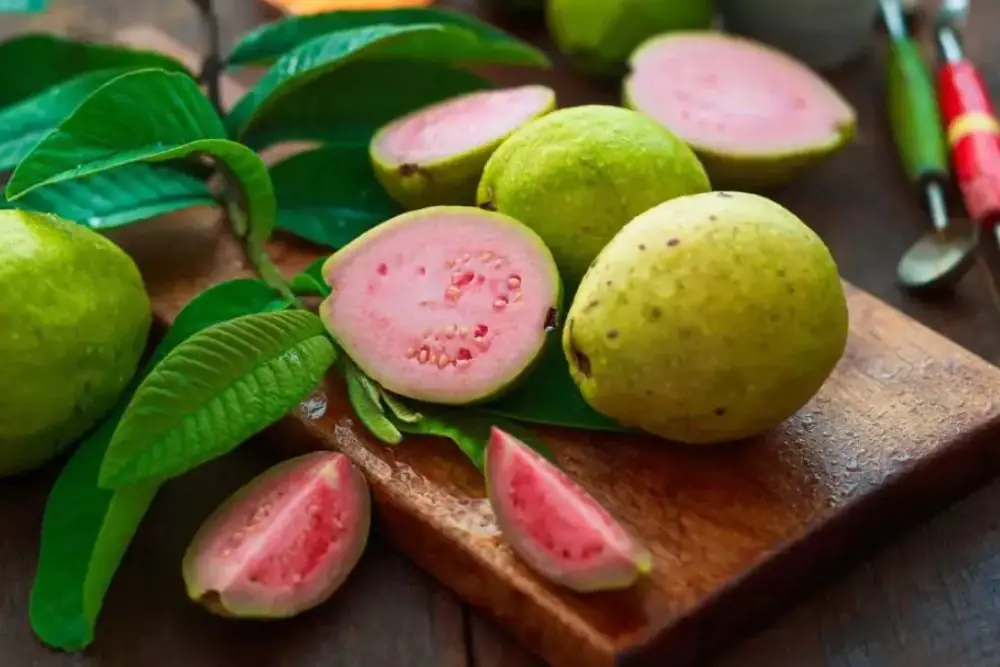 Guava In Empty Stomach: क्या सुबह खाली पेट अमरूद खाना चाहिए या नहीं? जानिए इससे फायदा होगा या नुकसान?