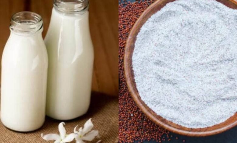 Milk or Ragi which has more calcium: रागी या दूध किसमें होता है अधिक कैल्शियम? दांतों या हड्डियों को मजबूत बनाए रखने के लिए कौन बेहतर है?