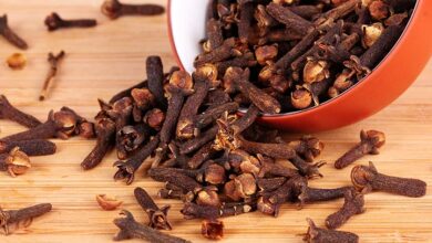 Cloves Benefits: रात में सोने से पहले 2 लौंग चबाने से सर्दी-खांसी सहित कई गंभीर बीमारियाँ दूर हो जाएंगी