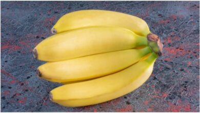 Banana in Uric Acid: यह पीला फल यूरिक एसिड में बेहद लाभकारी, पेट को साफ करता है. जानें कब और कैसे इसे खाएं?