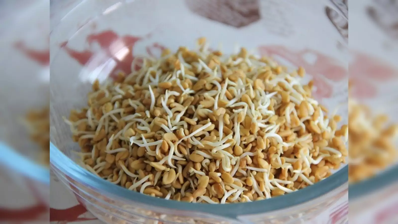 Methi Sprout: डायबिटीज सहित कई गंभीर बीमारियों में मेथी का बीज बेहद फायदेमंद है; जानें इसका सही सेवन कैसे करें।