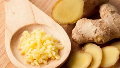 Ginger For High Blood Pressure: हाई ब्लड प्रेशर से लेकर इन पांच बीमारियों में अदरक का सेवन फायदेमंद है, जानिए कैसे यह BP को नियंत्रित रखने में मदद करता है