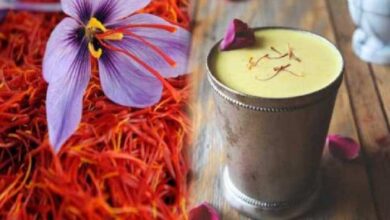 Kesar Doodh Health Benefits: सर्दियों में केसर वाला दूध क्यों पीना चाहिए ? स्वास्थ्य के लिए वरदान से कम नहीं