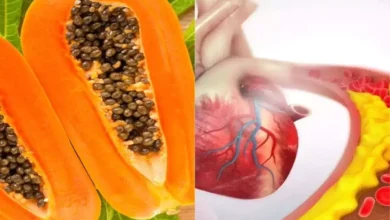 Papaya Health Benefits: महीने भर रोजाना एक कटोरी ये फल खाएं, आपका पेट साफ हो जाएगा और बढ़ते हुए वजन पर फुल स्टॉप  लग जाएगा