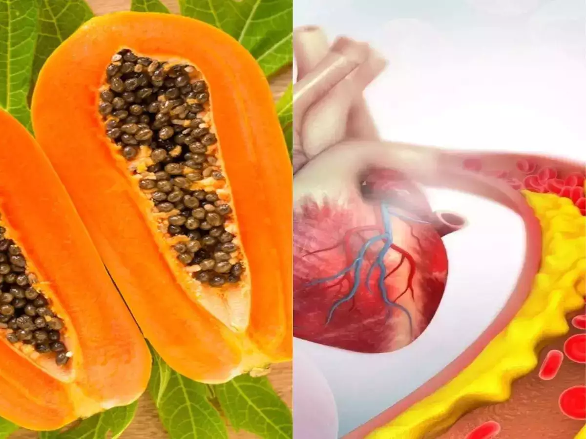 Papaya Health Benefits: महीने भर रोजाना एक कटोरी ये फल खाएं, आपका पेट साफ हो जाएगा और बढ़ते हुए वजन पर फुल स्टॉप  लग जाएगा