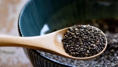 Chia Seed Benefits: ये बीज सेहत के लिए बहुत अच्छे हैं, वेट लॉस से लेकर कई गंभीर बीमारियों में लाभकारी हैं. जानें कब और कैसे खाएं?